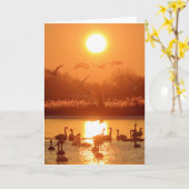 サンセットで湖に白鳥 カード (黄色い花)