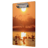 サンセットで湖に白鳥 クリップボード (左)