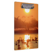 サンセットで湖に白鳥 クリップボード (右)