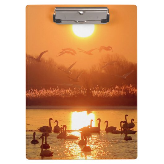 サンセットで湖に白鳥 クリップボード (正面)