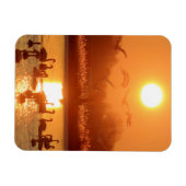 サンセットで湖に白鳥 マグネット (横)