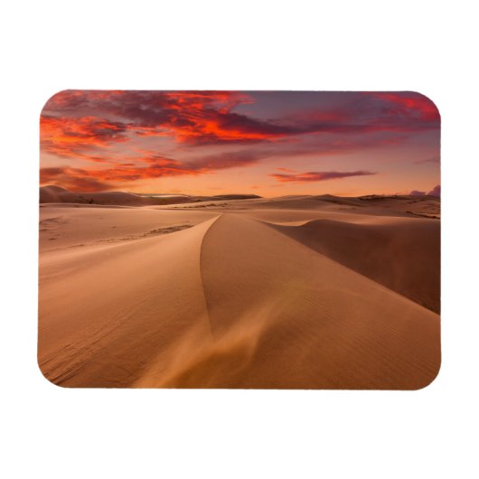 サンセットで砂漠の砂丘 マグネット (横)