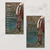 サンセットで馬 名刺 (正面/裏面)