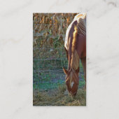 サンセットで馬 名刺 (裏面)