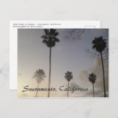 サンセットにヤシの木 ポストカード (正面/裏面)