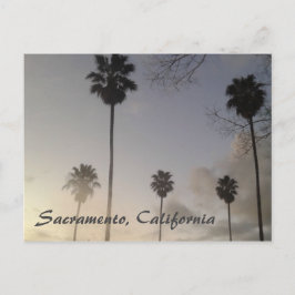 サンセットにヤシの木 ポストカード