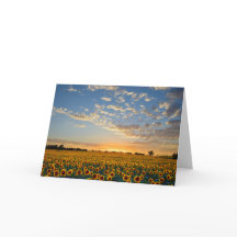 サンセットのひまわり空白の