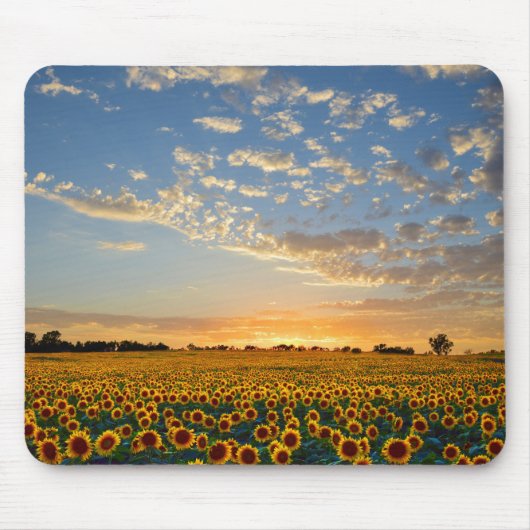 サンセットのひまわり マウスパッド (正面)