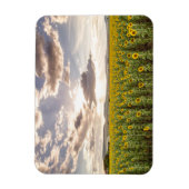 サンセットのひまわり マグネット (縦)