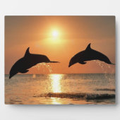 サンセットのイルカ フォトプラーク (正面)