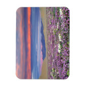 サンセットのサンドベルベナ&デューンプリムローズワイルドフラワー マグネット (縦)