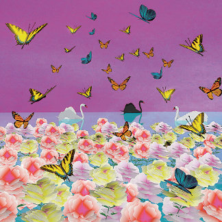 サンセットのスワン ポスター