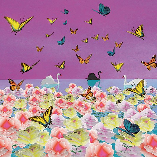 サンセットのスワン ポスター