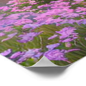 サンセットのリフレクションをさくらんぼブロッサム川に ポスター (角)