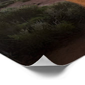 サンセットの喜び魅力的：カメラでQuokkaスマイル ポスター (角)