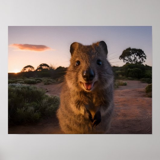 サンセットの喜び魅力的：カメラでQuokkaスマイル ポスター (正面)
