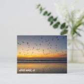 サンセットの美しいペリカン – ヴェネツィアビーチ, CA ポストカード (スタンド正面)