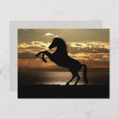 サンセットの馬の葉書 ポストカード (正面/裏面)