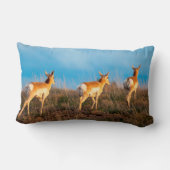 サンセットの3アンテロープ遠くに歩く ランバークッション (裏面)