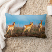 サンセットの3アンテロープ遠くに歩く ランバークッション (ブランケット)