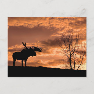   サンセットはがきで ポストカード