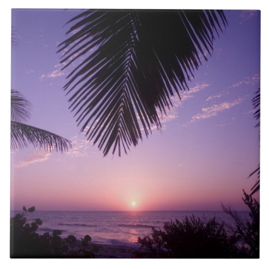 サンセットアットウェストエンド，ケイマンブラック，ケイマン諸島， タイル (正面)