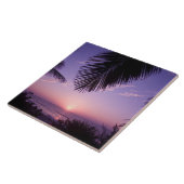 サンセットアットウェストエンド，ケイマンブラック，ケイマン諸島， タイル (側面)