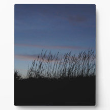 サンセットアットザビーチ