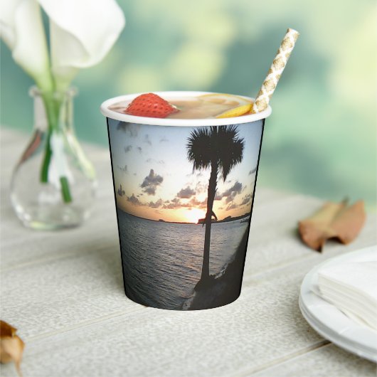サンセットアットザビーチ 紙コップ (インサイチュ)