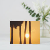 サンセットアットザビーチIIポストカード ポストカード (スタンド正面)