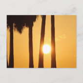 サンセットアットザビーチIIポストカード ポストカード (正面)