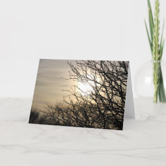 サンセットアットディグティバーン シーズンカード