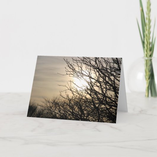 サンセットアットディグティバーン シーズンカード (正面)