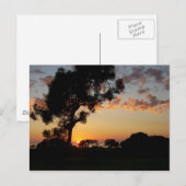 サンセットアットトーレイパインズ ポストカード (正面/裏面)