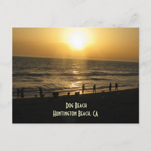 サンセットアットドッグビーチはがき ポストカード (正面)