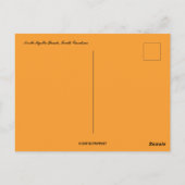 サンセットアットノースマートルビーチサウスカロライナ ポストカード (裏面)