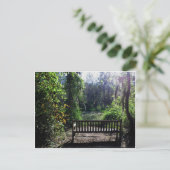 サンセットアットフィニージスワンプパークアウグスタ， GA ポストカード (スタンド正面)