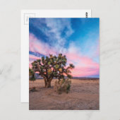 サンセットアットモハベ ポストカード (正面/裏面)