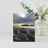 サンセットアットルビービーチオリンピック国立公園 ポストカード (スタンド正面)