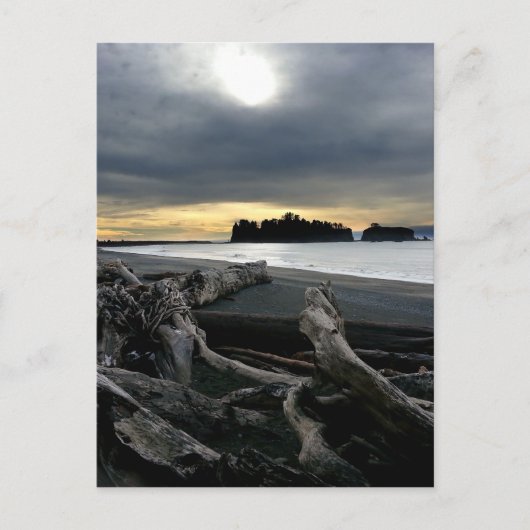 サンセットアットルビービーチオリンピック国立公園 ポストカード (正面)