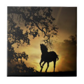 サンセットアランニングートタイルの美しい馬のホテル タイル (正面)