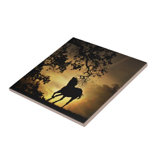 サンセットアランニングートタイルの美しい馬のホテル タイル (側面)