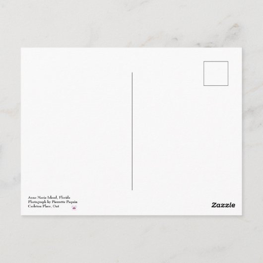 サンセットアンナマリアアイランドフロリダ ポストカード (裏面)