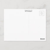 サンセットインアンザ, CAポストカード ポストカード (裏面)