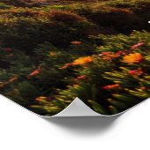 サンセットインカボデロカ ポスター (角)