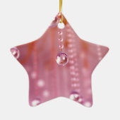 サンセットインクリスタルオーナメント セラミックオーナメント (裏面)