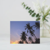 サンセットインコチャンタイヤシの木 ポストカード (スタンド正面)