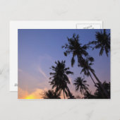 サンセットインコチャンタイヤシの木 ポストカード (正面/裏面)
