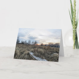 サンセットインザマーシュ誕生日カード サンキューカード