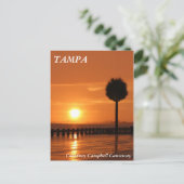 サンセットインタンパコートニーキャンベルコーズウェイ ポストカード (スタンド正面)